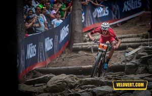 Mercedes-Benz UCI Mountain bike World Cup - Nove Mesto