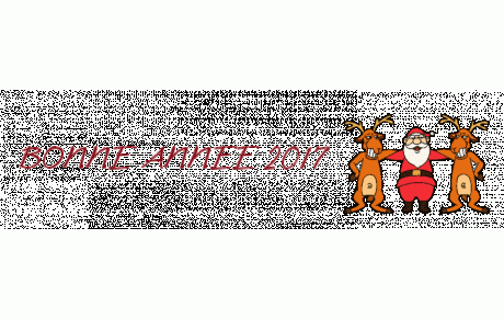 Bonne année 2017