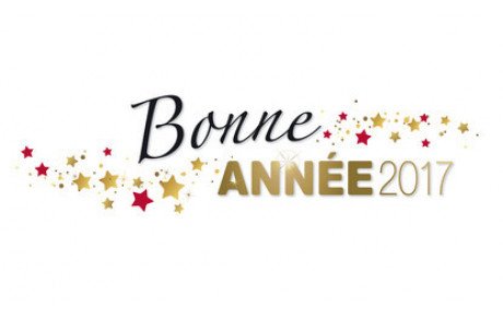 Bonne année 2017