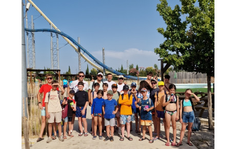 Wave Island